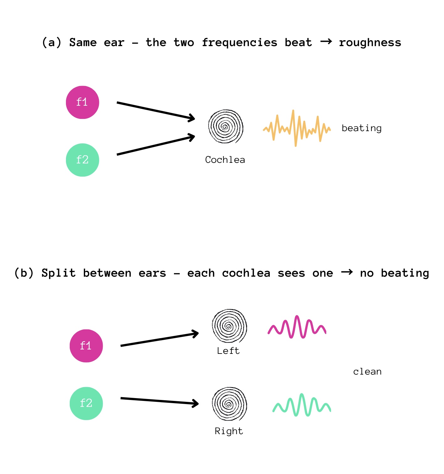 The peripheral mechanism: when two close frequencies reach the same cochlea they beat, producing roughness (a); routing them to different ears lets each cochlea process only one, so the beating doesn't form (b).